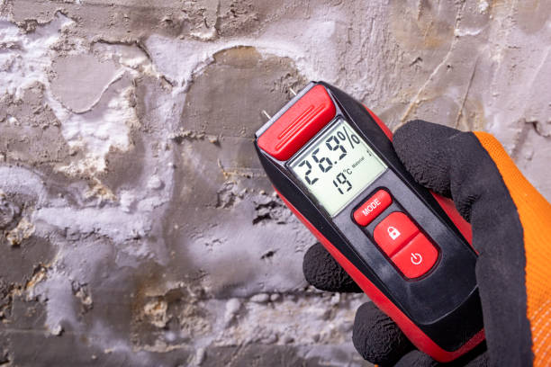 Best Professional Mold Removal  in Teays Valley, WV